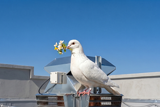 С Праздником Весны и Труда! | Блог НЕВАТОМ